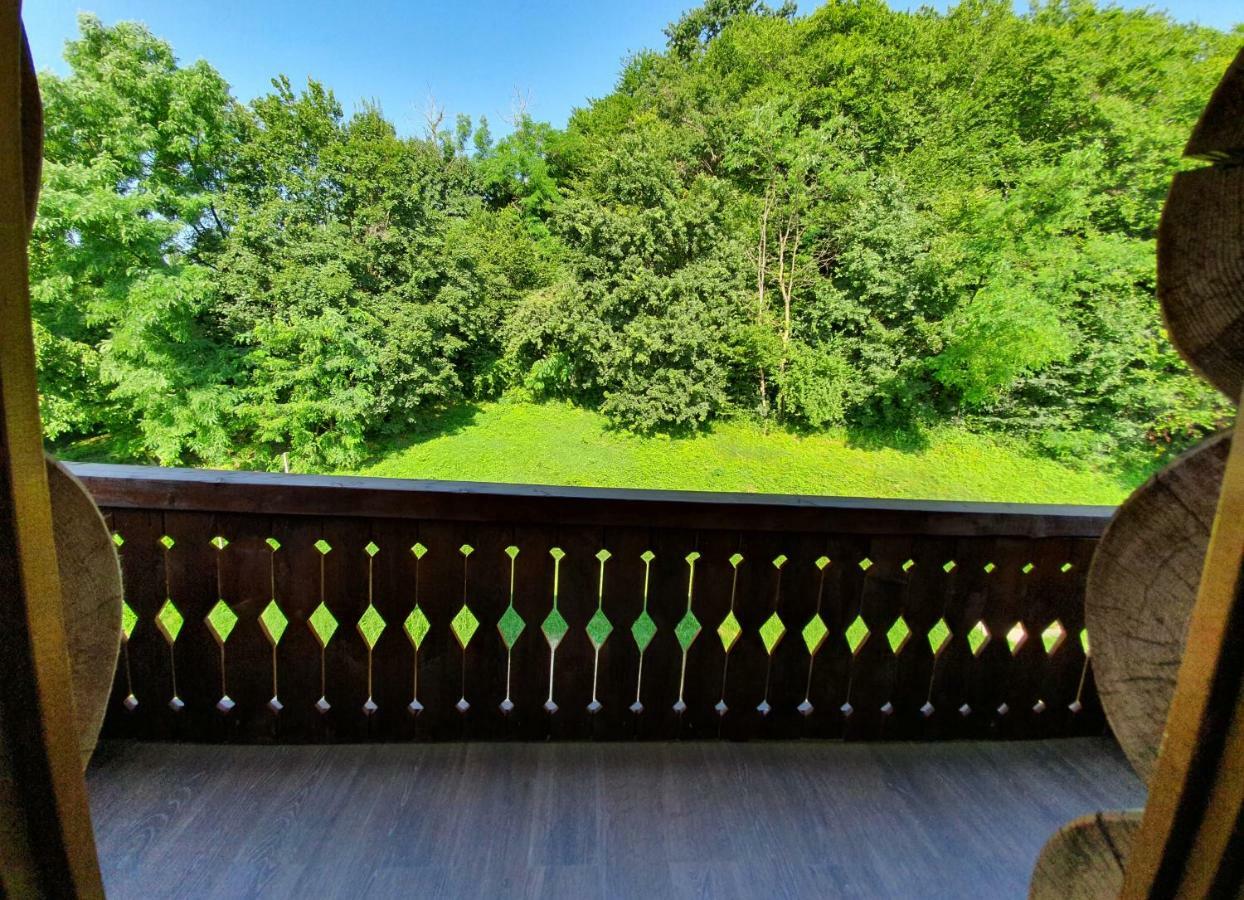 Casa Cartianu Hotell Târgu Jiu Eksteriør bilde